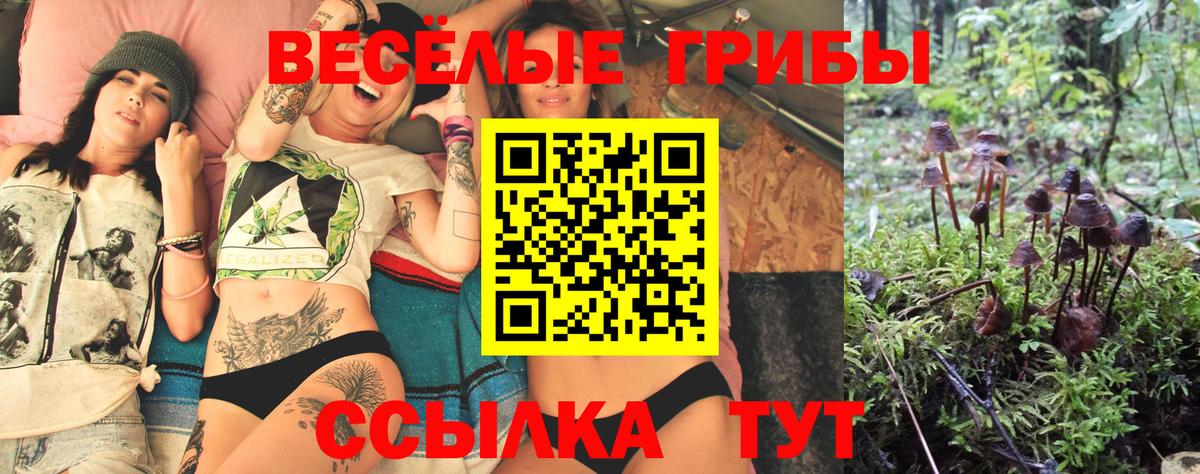 хочу наркоту  Галлюциногенные грибы Psilocybine cubensis  Вход с VPN  Бор 