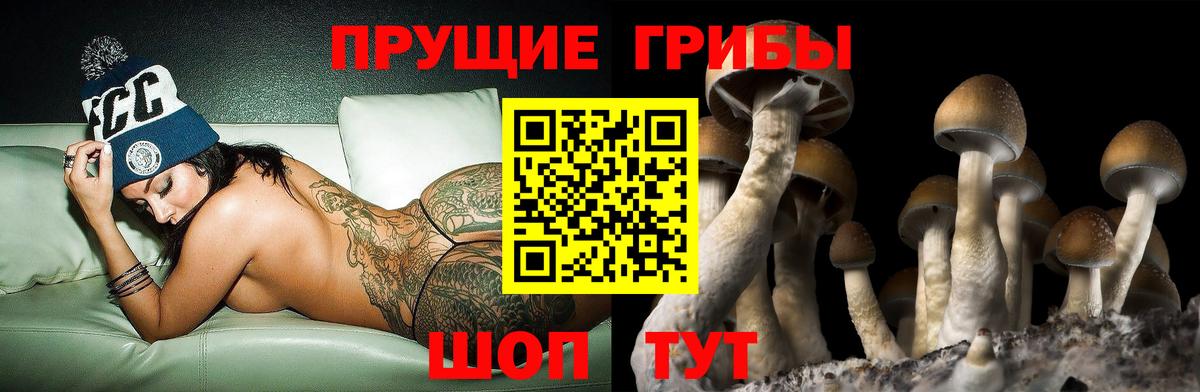 Псилоцибиновые грибы мухоморы Бор
